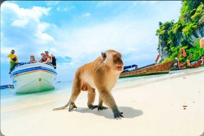 2x Snorkelling Phi Phi, Maiton, Maya Bay, khai islands tour - Maya Bay: The Cliff-Walled Bay That Everyone Talks About
