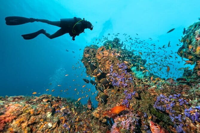3 Fun dives in Phi Phi islands for Certified Divers - Price and Value: Is $158.56 a Good Deal?