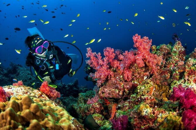 3 Fun Dives in Racha Yai and Racha Noi for Certified Divers - Key things to know before you go