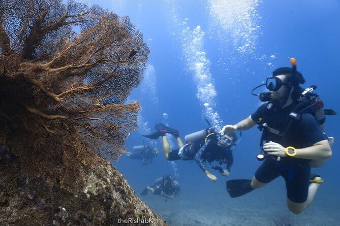 3 Fun Dives King Cruiser Wreck and Koh DokMai for Certified diver - How Long You’ll Be Underwater (and How the Air Limit Works)