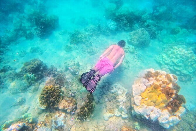 3 Khai Islands Tour- Snorkel, Swim & Relax (Half or Full Day) - Koh Khai Nai (Cat Island): shore snorkeling and the long chill