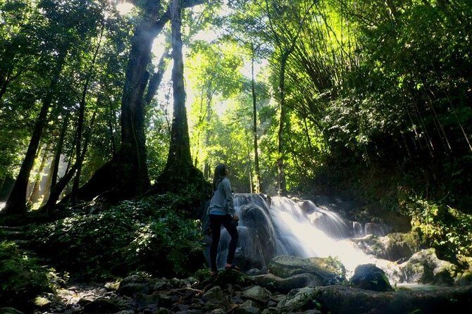Bamboo Rafting and Jungle Tour From Phuket - Price and Logistics: Where the Value Really Comes From