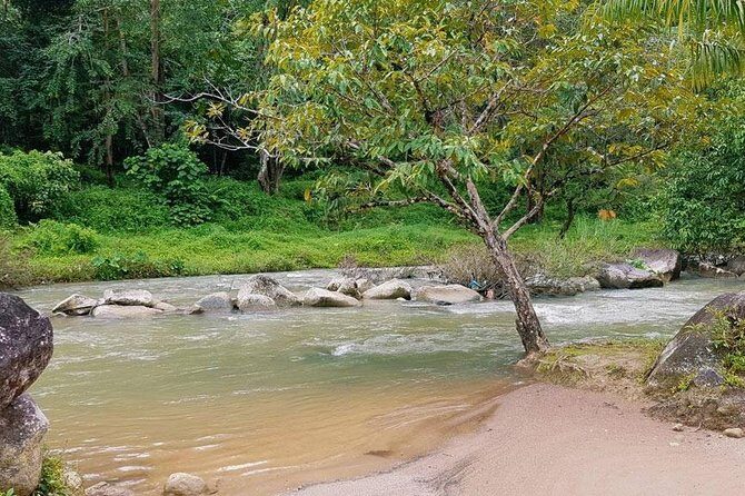 Bamboo Rafting, ATV Riding and Jungle Tour From Phuket - Lunch, fresh fruit, and that coffee moment people talk about
