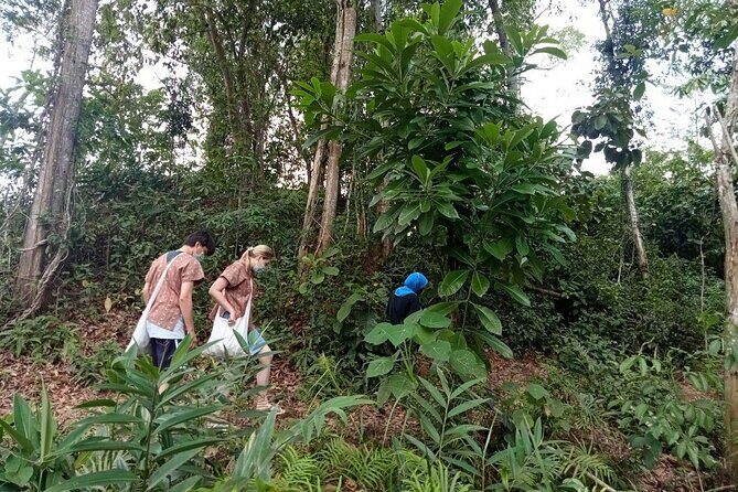 Elephant Sanctuary Small Group Tour in Phuket - Key things I’d circle before you book