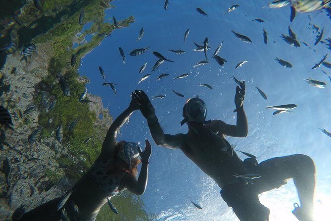 From Khao Lak : Full-Day Private Phi Phi Islands Speedboat Charter - Bamboo Island: Beach time and real snorkeling value