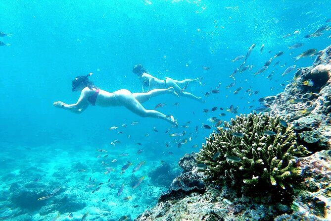 From Phuket: Phi Phi, Maya and Bamboo Islands Full Day Visit - The pace and how to plan your body for an 8-hour day
