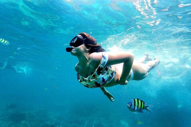 From Phuket: Phi Phi, Maya and Bamboo Islands Full Day Visit - Phi Phi Don Island: where lunch happens and the day resets