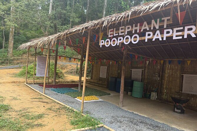 Half day with Elephants at Patong Elephant Hug （No ride No trick） - Your Day in Phuket: Pickup, Meeting Point, and Timing