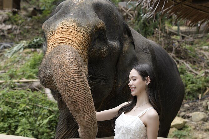 Half day with Elephants at Patong Elephant Hug （No ride No trick） - Feeding Elephants: What You’re Actually Doing