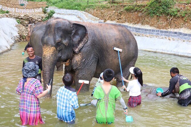 Half day with Elephants at Patong Elephant Hug （No ride No trick） - Elephant Hug: Close Contact, Managed Safely