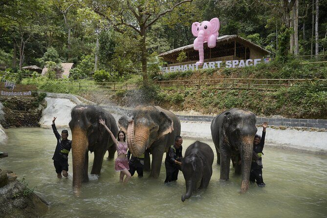 Half day with Elephants at Patong Elephant Hug （No ride No trick） - Shower and Spa Time: Wet Fun, Not Just a Photo Stop