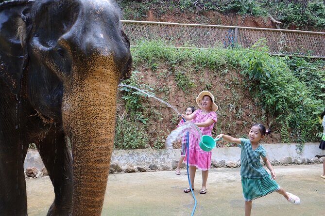 Half day with Elephants at Patong Elephant Hug （No ride No trick） - The Eco Part: Elephant Dung Paper Craft
