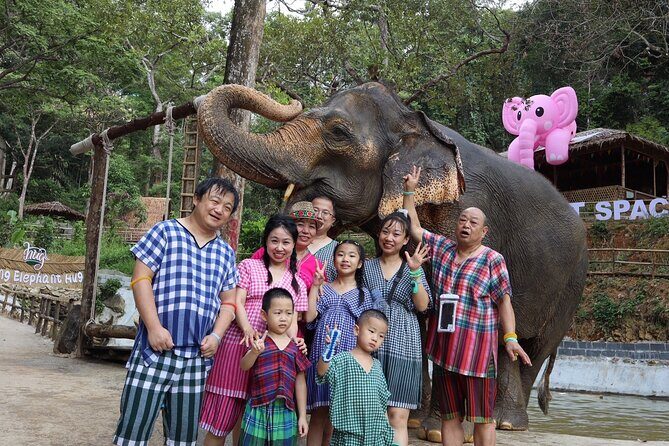 Half day with Elephants at Patong Elephant Hug （No ride No trick） - What’s Included (and Why It’s Good Value)