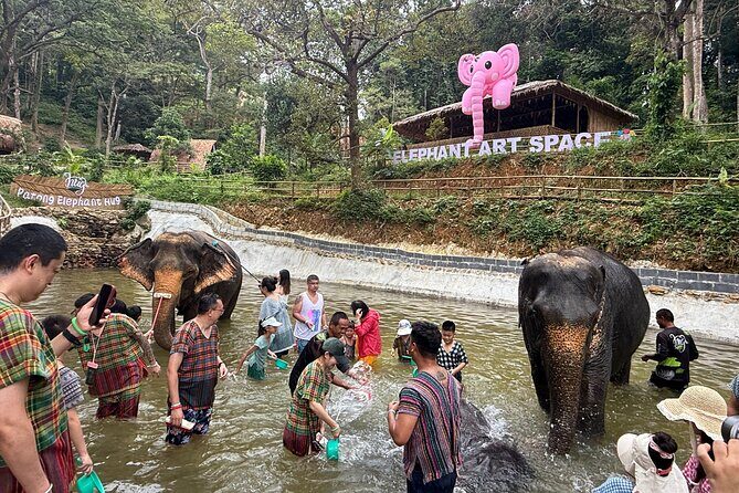 Half day with Elephants at Patong Elephant Hug （No ride No trick） - Choosing Your Package: 1 Hour vs 1.5 Hours vs 3 Hours