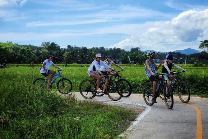 Islands Discovery: Koh Yao and Koh Hong with Bicycles and Beaches - Koh Hong lagoon and snorkeling: mangroves, beach time, coral fish