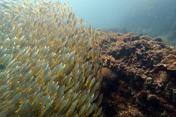 PADI Discover Scuba 2 Times Diving Phuket - Lunch and downtime on the boat: staying fueled between sessions