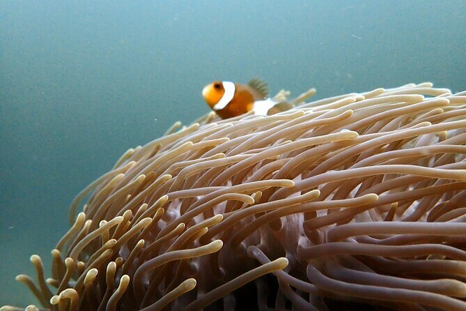 PADI Discover Scuba 2 Times Diving Phuket - Small group size: why max 20 travelers feels like a win