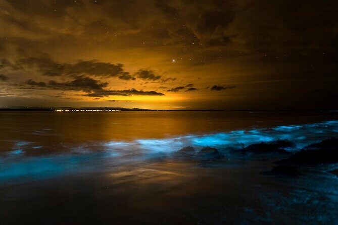 Phang Nga Bay Private Bioluminescence and Sea Canoeing Tour - Private Transport and Check-In at 5 Star Marine
