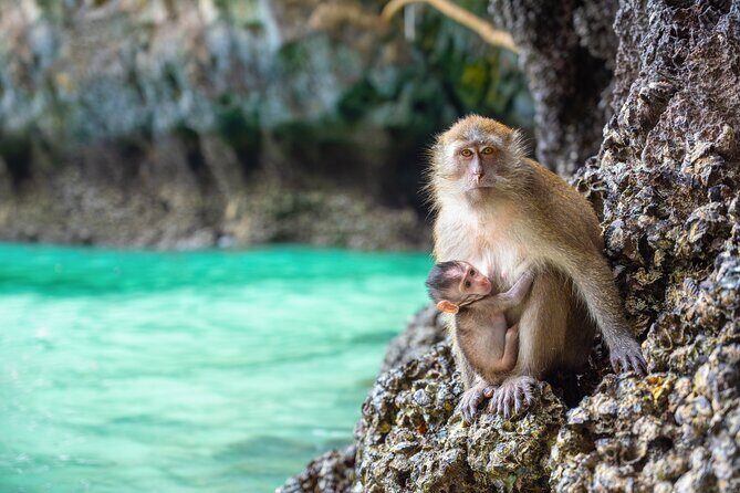 Phi Phi 1 Day tour by speed catamaran with Phuket transfers - Stop 2: Pileh Bay (Pileh Lagoon) for a Calm Water Break