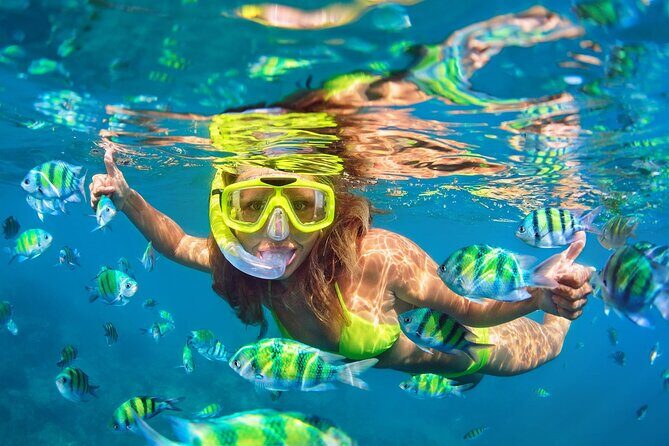 Phi Phi & Bamboo Islands Snorkeling Tour with Lunch by Speedboat - From Phuket to Phi Phi: how the pace really feels