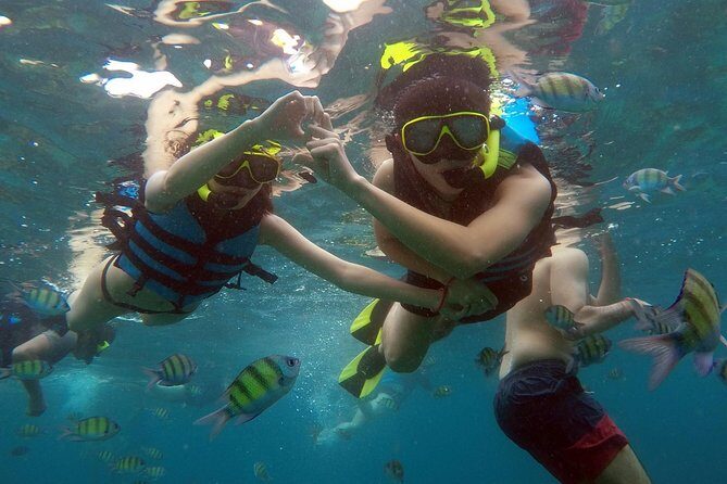 Phi Phi Islands Day Tour Bamboo and Maya Bay with Lunch By Speedboat - Snorkeling Gear and Safety Stuff That Makes the Tour Feel More Trustworthy