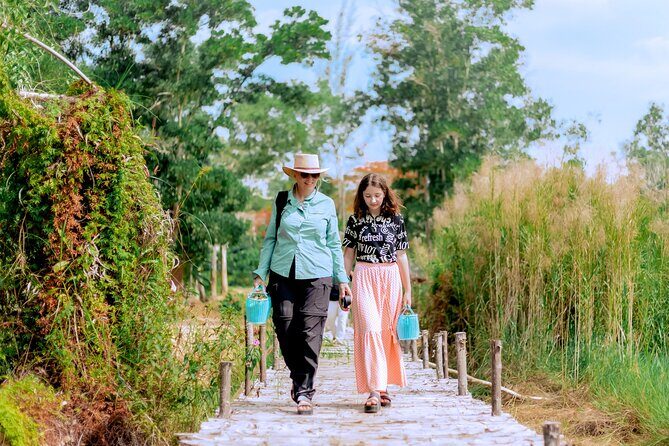 Phuket Guided Tour to Elephant Sanctuary with Hotel Transfers - Getting there from Phuket hotels: pickup, timing, and group size