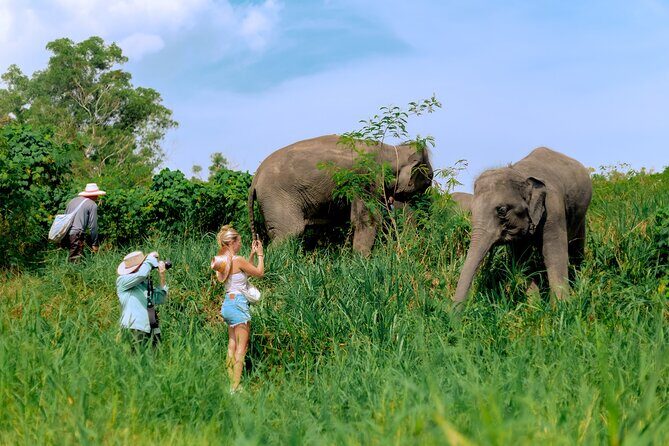 Phuket Guided Tour to Elephant Sanctuary with Hotel Transfers - Patong Hill Tribe Elephant Village: what happens during your visit
