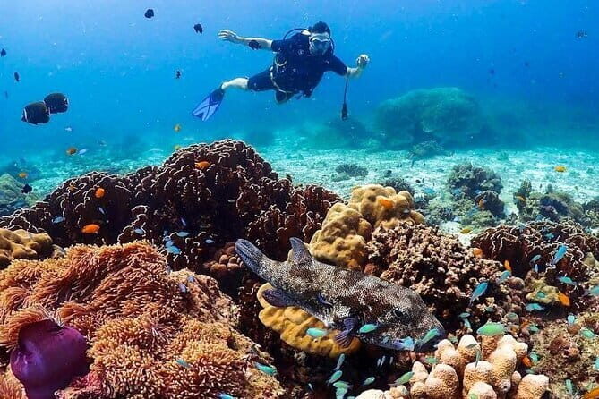 Phuket Scuba Diving Phi Phi Islands (Certified Divers Only) - FAQ