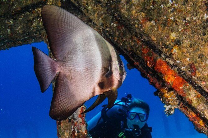 Racha Noi and Racha Yai Dive Trip from Phuket - Small-Group Attention: Why the Guide Ratio Matters