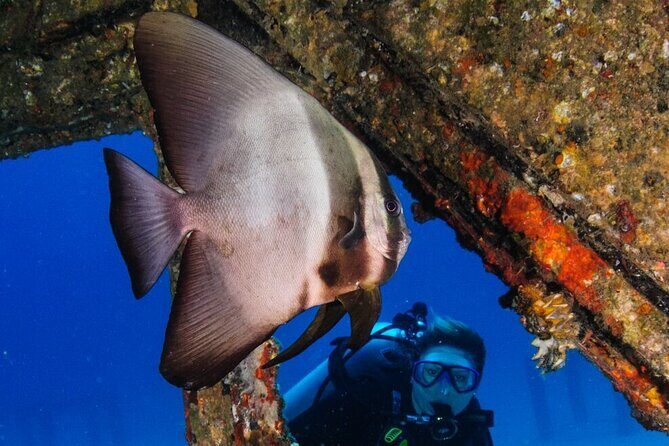 Refresher scuba diving trip, 3 dives at Racha Noi and Racha Yai - What the 10-Hour Schedule Really Feels Like