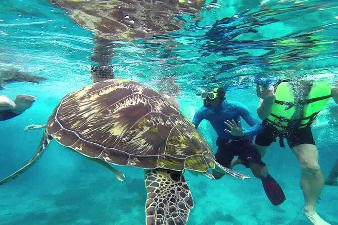 Similan Islands Full-Day Tour from Phuket with Lunch (SHA Plus) - Phuket Pickup Timing and Group Size: The Part That Shapes Your Day