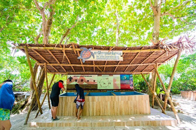 Similan Islands Snorkeling Tour By Speed Catamaran From Phuket - Snorkeling reality check: coral condition, time limits, and how to make it count