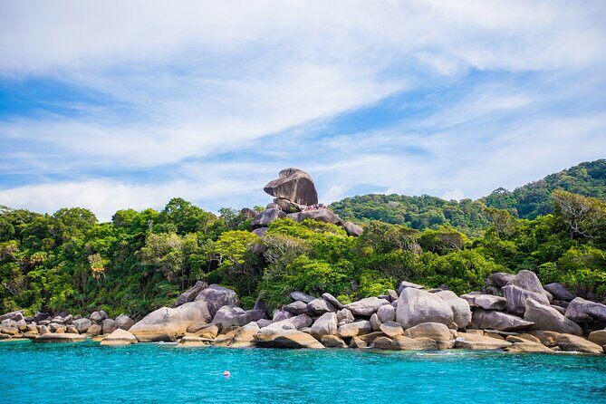 Similan Islands Snorkeling Tour By Speed Catamaran From Phuket - Island No.5 snorkeling: your first big reef hit
