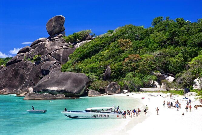 Similan Islands Snorkeling VIP Tour From Phuket - Key Things to Know Before You Go