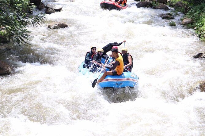 White Water Rafting with Monkey Cave Experience from Phuket - Wat Suwan Kuha and Monkey Cave: Buddha time with monkeys and short stops